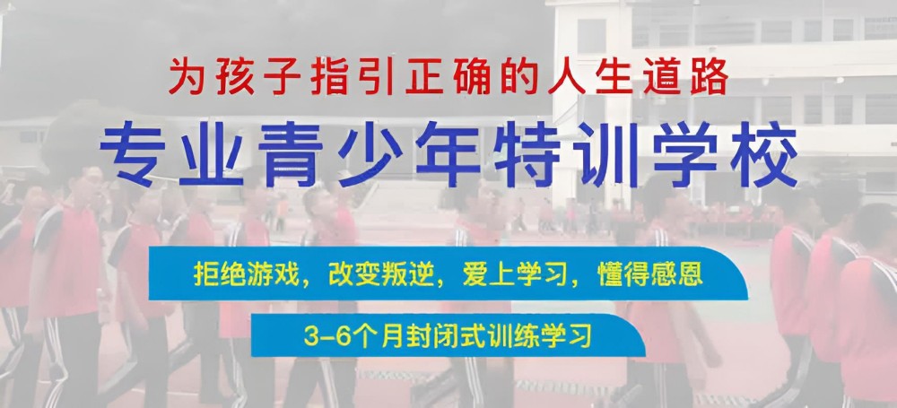 民警處理叛逆學校人員問題:法律界限與解決方案探討